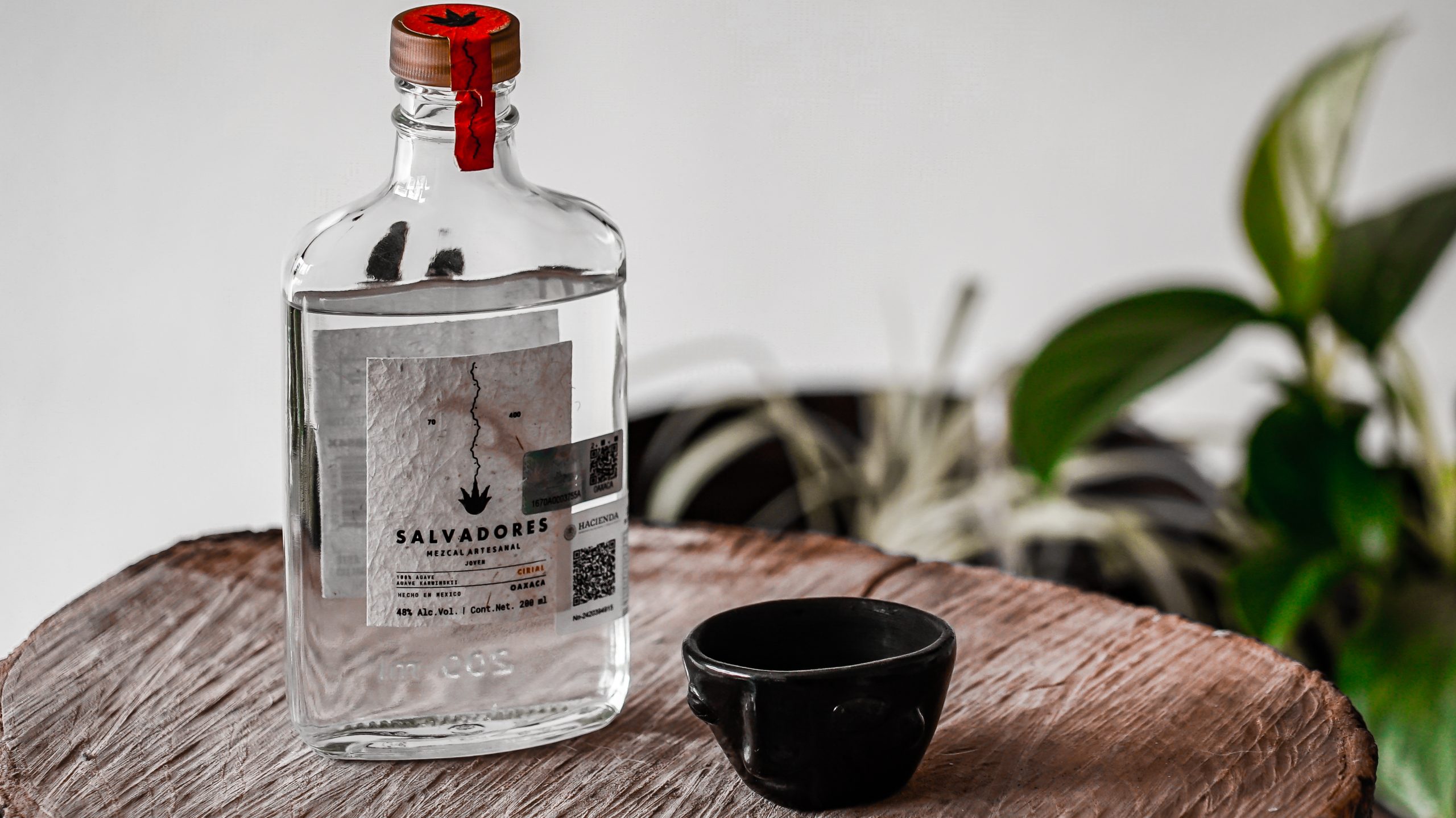 Salvadores Mezcal Artesanal Just Spoke to Me