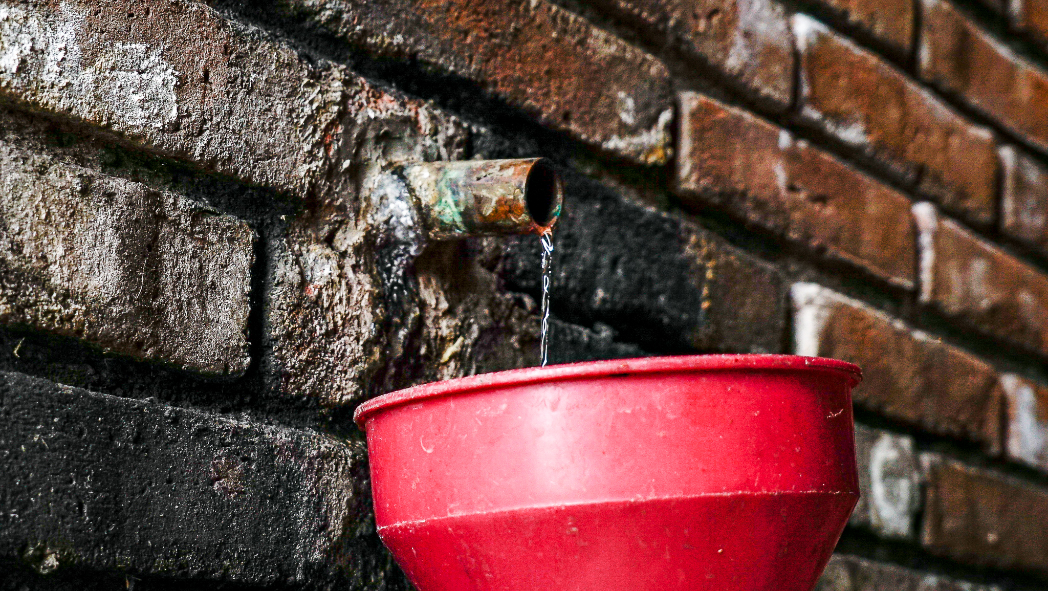 “IT’S ALL MEZCAL” – A Deep Dive into a Mexican Tradition