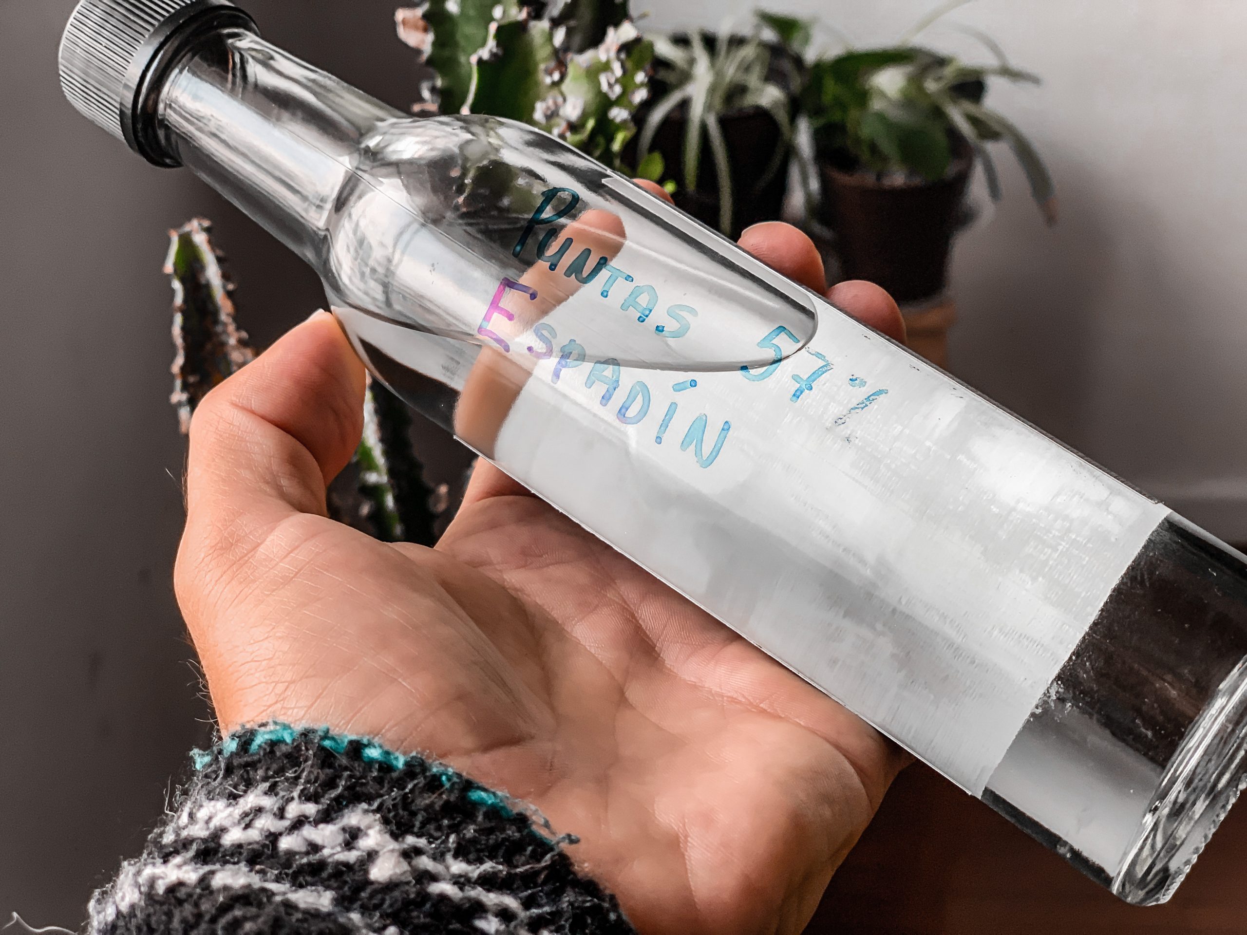 Puntas de Mezcal – What are they, and how do they taste?