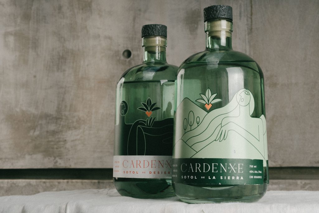 Meet Cardenxe – A Newly Launched Artisanal Sotol Brand
