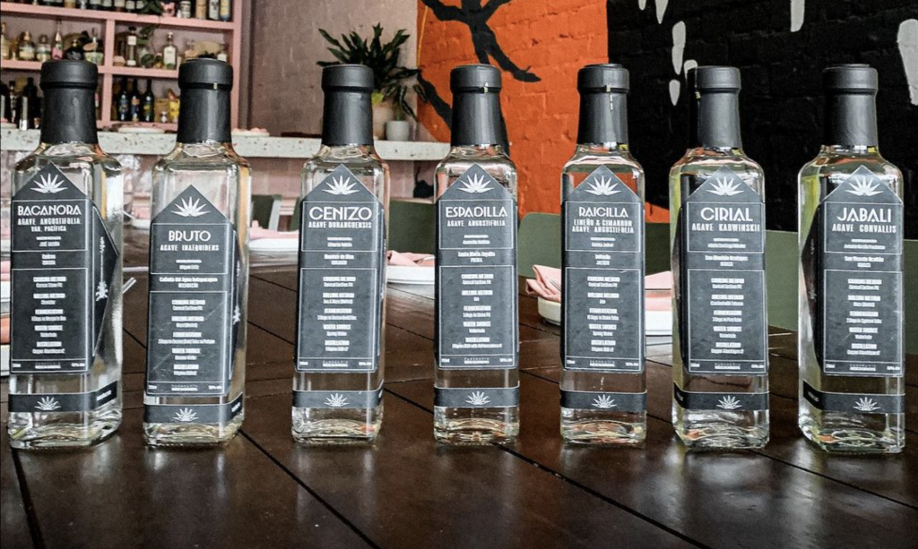 Mezcal Buzz Tasting Experience – Discover Awesome Mezcal & Beautiful Cocktails