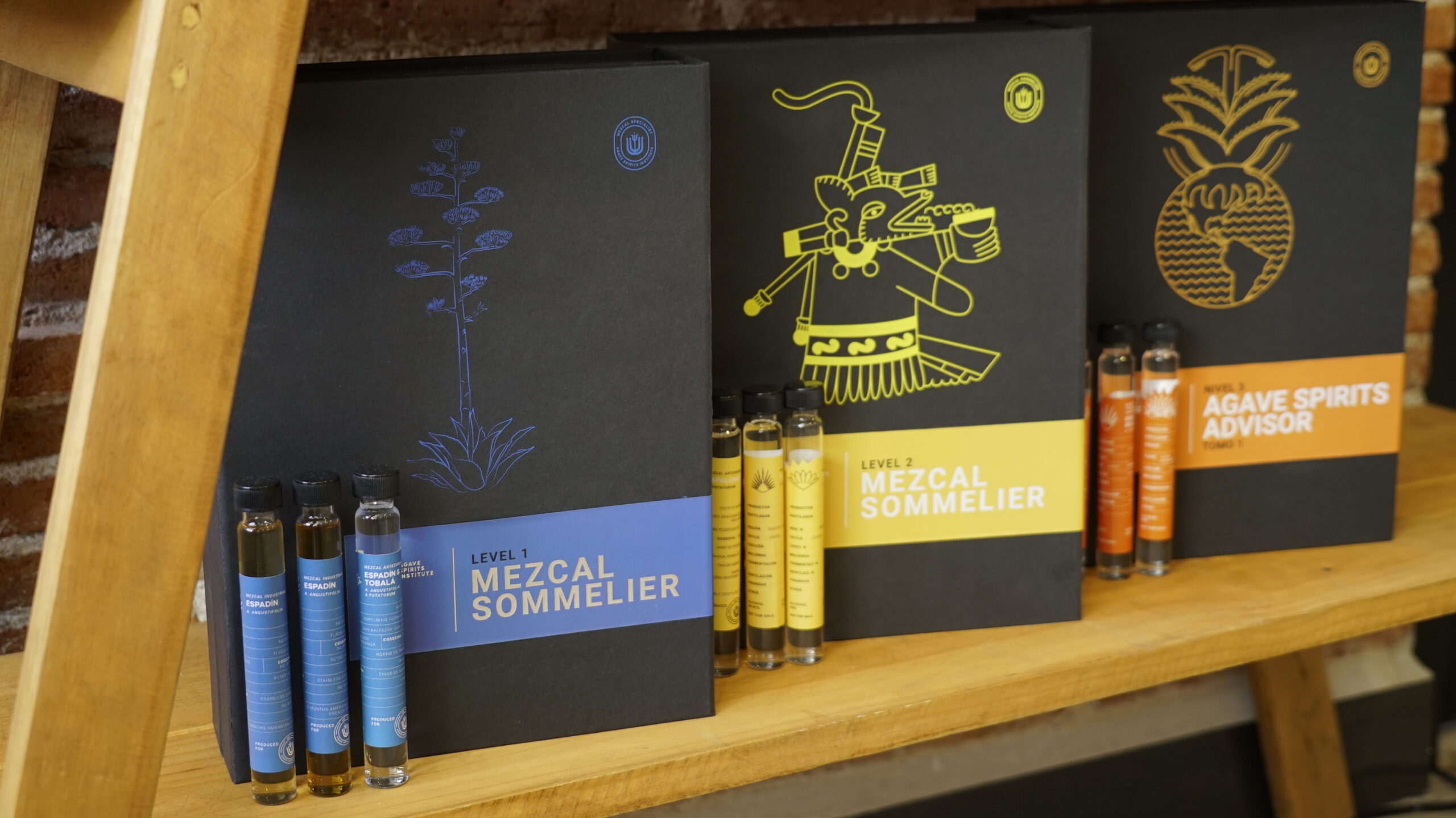 The Agave Spirits Institute: Pioneering Education in the Agave World