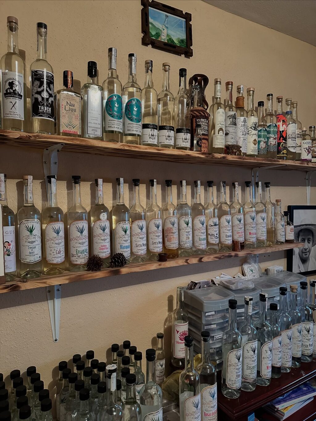 Instagram post from mezcalbuzz. This post is in position 1.